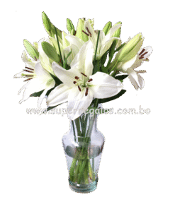 Florero con Lirios Blancos