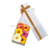 Caja con 6 gerberas - 0021
