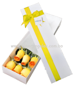 Caja con 6 rosas amarillas