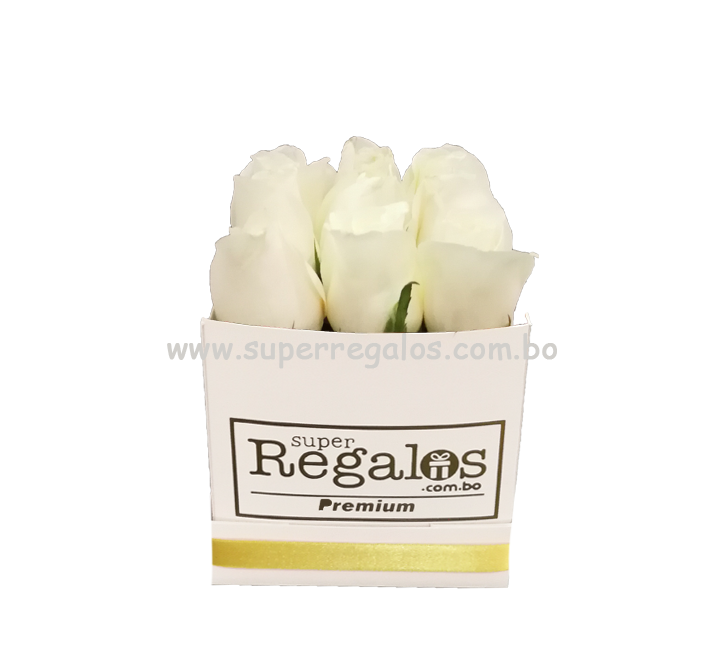 Caja cuadrada con rosas 9 Blancas – SuperRegalos: Envió de flores y regalos  a domicilio en Santa Cruz – Bolivia