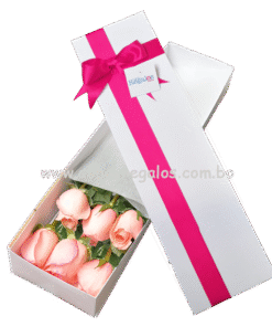 Caja con 6 rosas rosadas