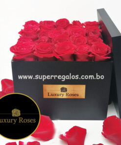 Caja de madera con 25 rosas - Luxury Roses