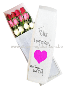 Caja con 12 rosas combinadas