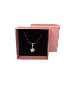 Collar de acero dije estrella